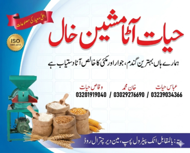 Hayat Atta Machine (Chakki) Khall Lower Dir
